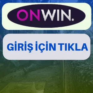 Onwin giriş